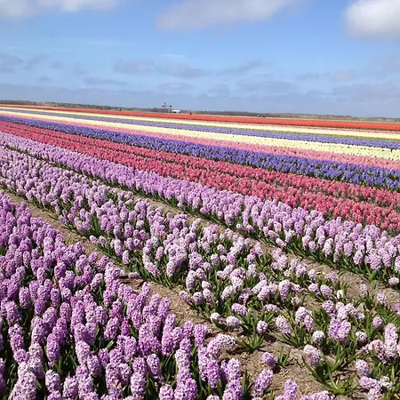 De Blenck * Callantsoog